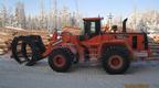 Фронтальный лесопогрузчик DOOSAN DL 550A (3 SP)