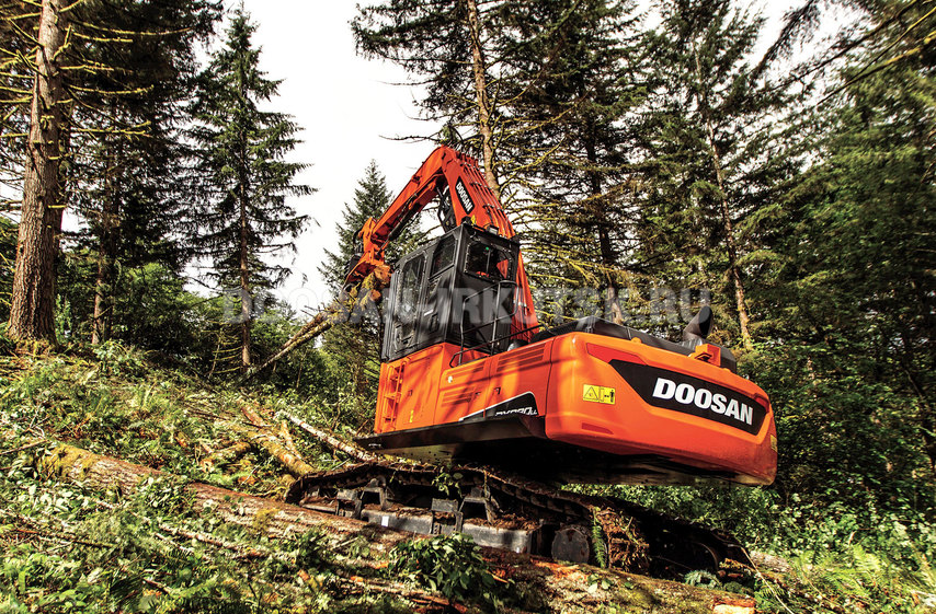 Бревноперегружатель гусеничный DOOSAN DX 300 LL