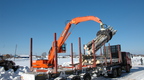 Бревноперегружатель гусеничный DOOSAN DX 225 LCA